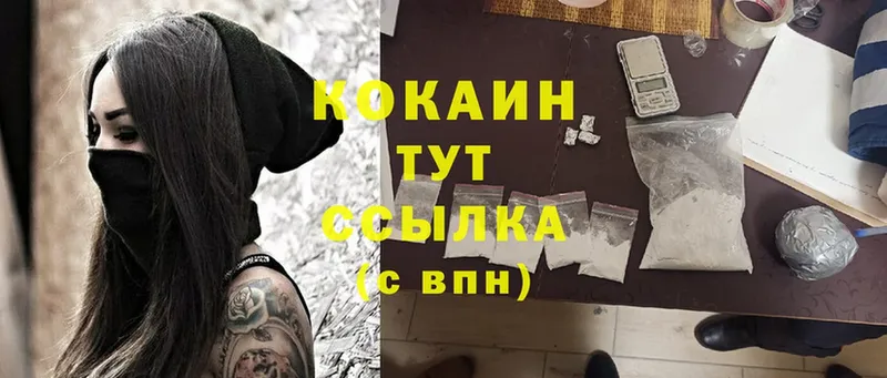 COCAIN Эквадор  mega маркетплейс  Кингисепп 